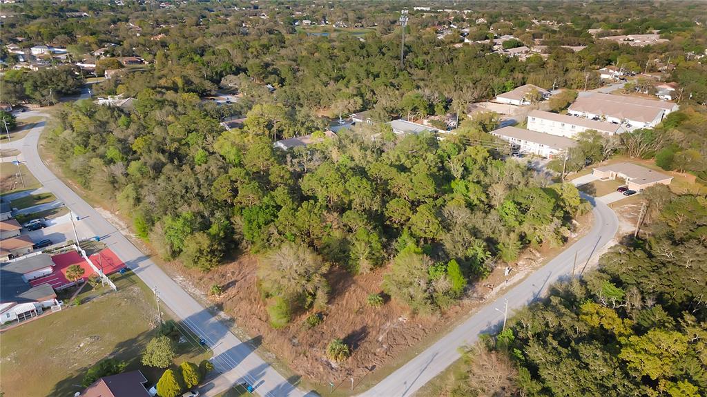 7361 Pond Circle Spring Hill, FL 34606 - Photo 4 of 10