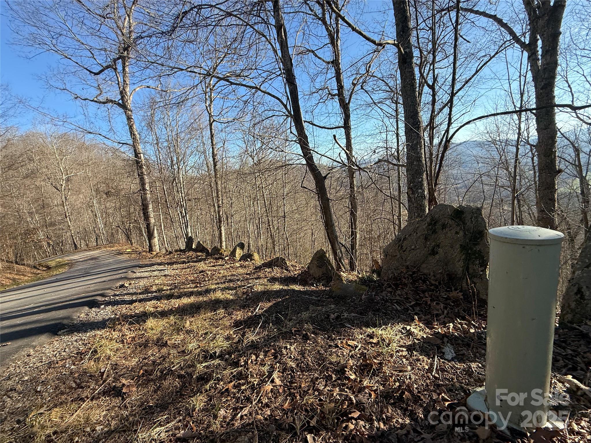 Lot 22 Brer Rabbit Trail, Unit 22 Waynesville, NC 28785 - Photo 2 of 19 a view of a yard with plants and trees