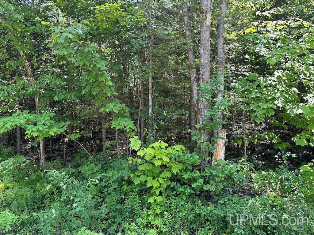 Parcel B Webb Road Grand Marais, MI 49839 - Photo 18 of 28