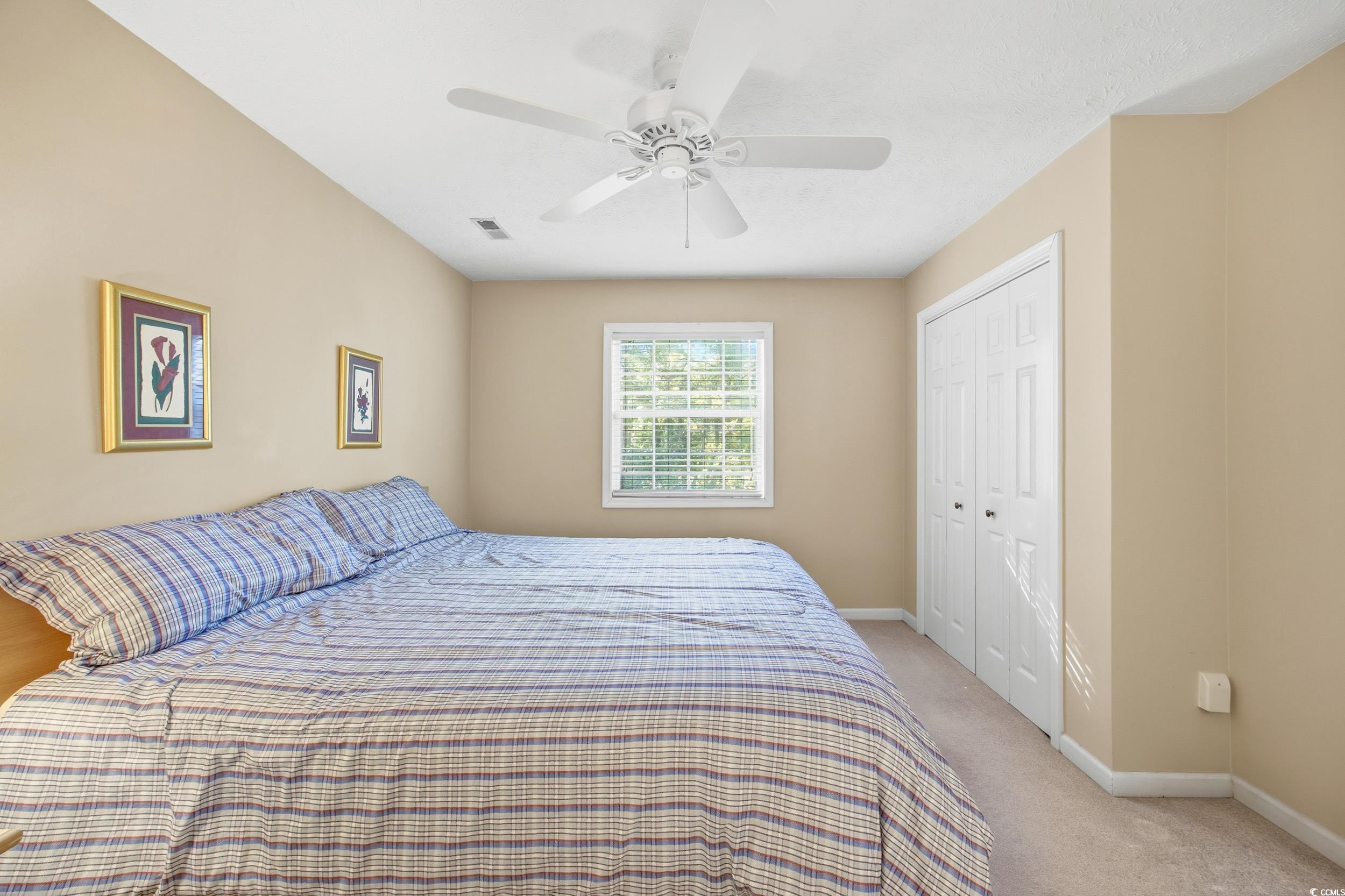 615 Tupelo Lane, Unit F Longs, SC 29568 - Photo 11 of 27 Bedroom with carpet, a closet, and a ceiling fan