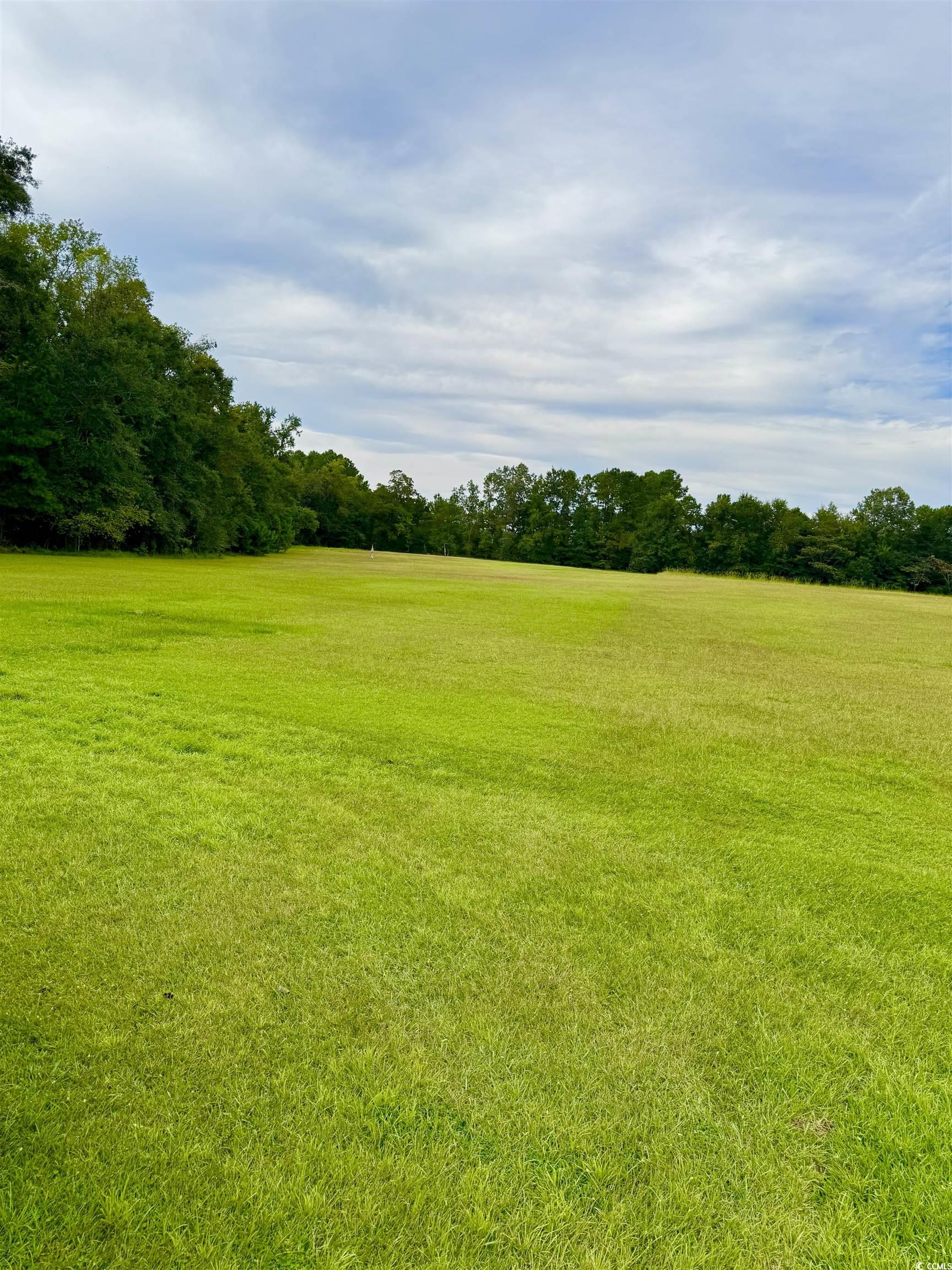8946 Highmarket Street Georgetown, SC 29440 - Photo 3 of 6 View of nature