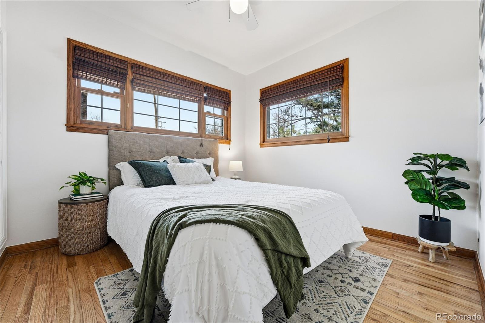 567 Harrison Street Denver, CO 80206 - Photo 2 of 46