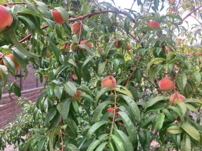 567 Harrison Street Denver, CO 80206 - Photo 29 of 46