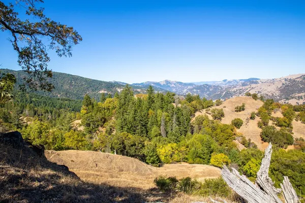 a view of a lot of trees and houses
