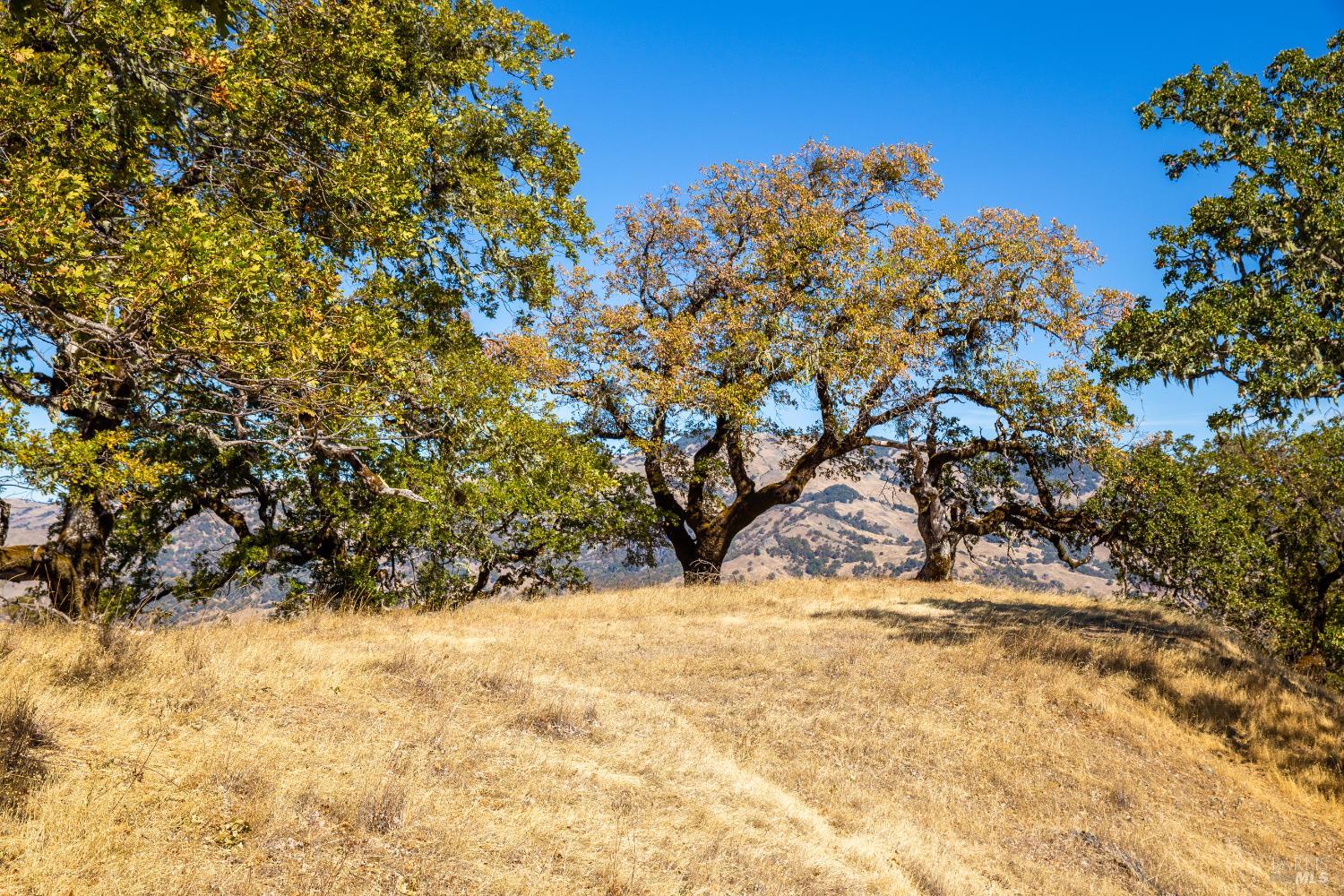 7721 Simmerly Ranch Road Covelo, CA 95428 - Photo 4 of 15