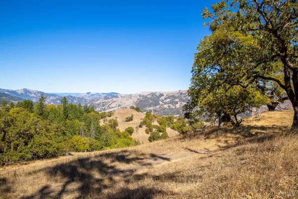 a view of a lush green field with mountains in the background