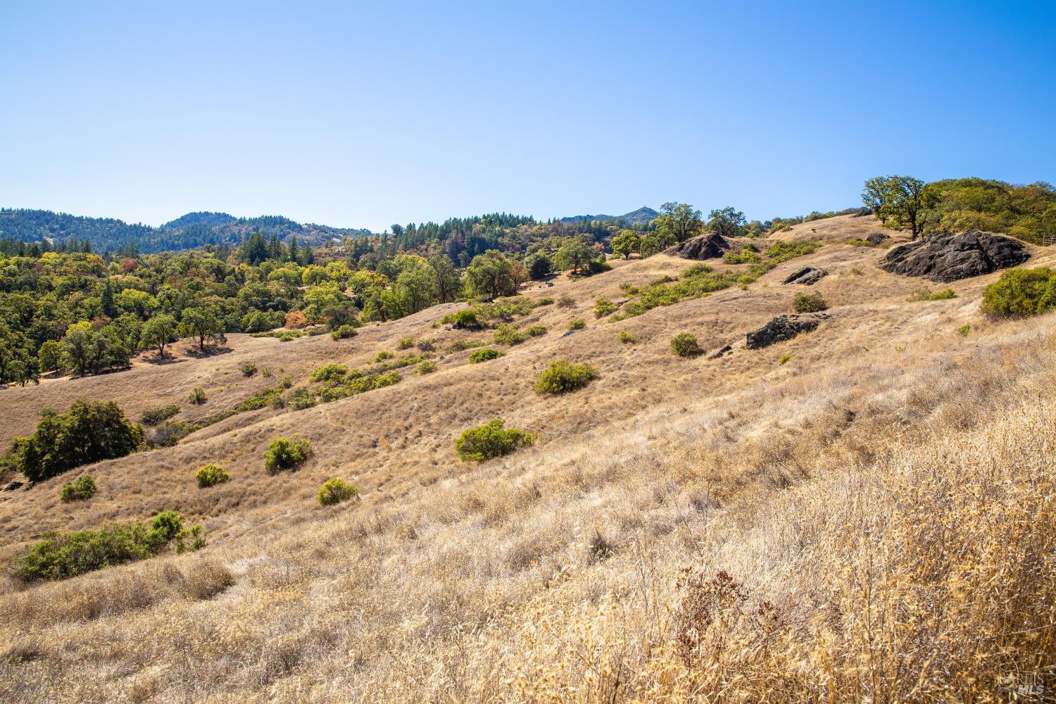 7721 Simmerly Ranch Road Covelo, CA 95428 - Photo 9 of 15