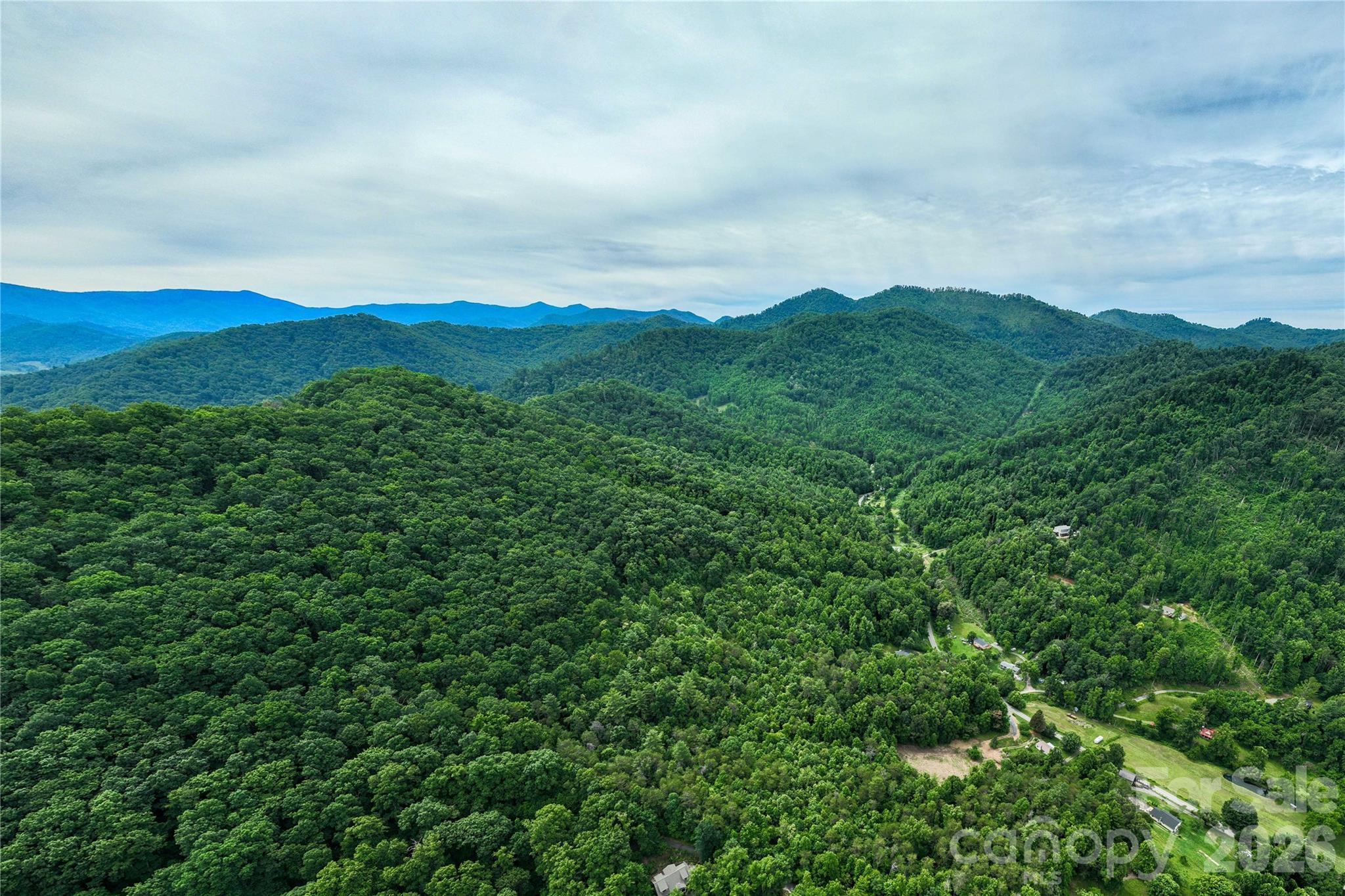 9999 Morgan Branch Road Weaverville, NC 28787 - Photo 15 of 24