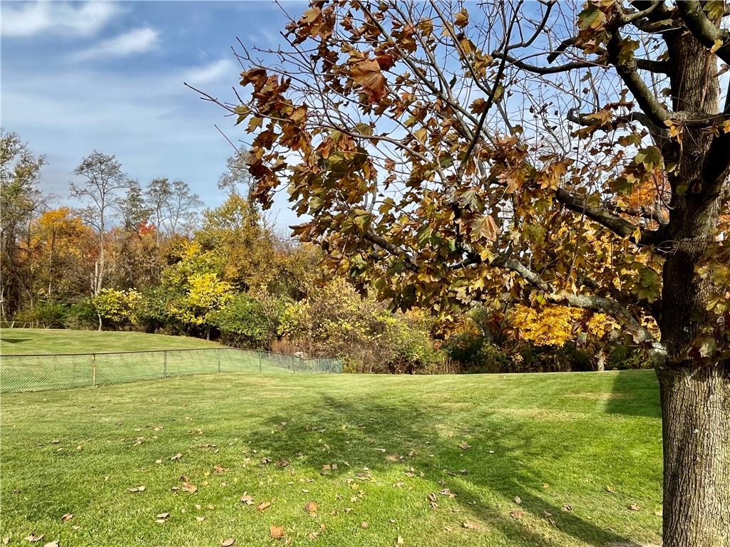 1291 Marcia Drive Irwin, PA 15642 - Photo 2 of 32 a view of a field with an tree