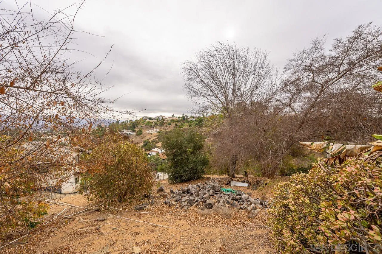 4380 Mayapan Drive El Cajon, CA 92020 - Photo 40 of 52 a view of a yard with a tree