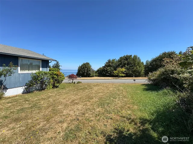 a view of a yard and street