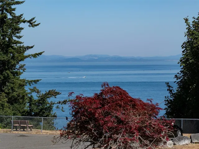 a view of swimming pool with a slide