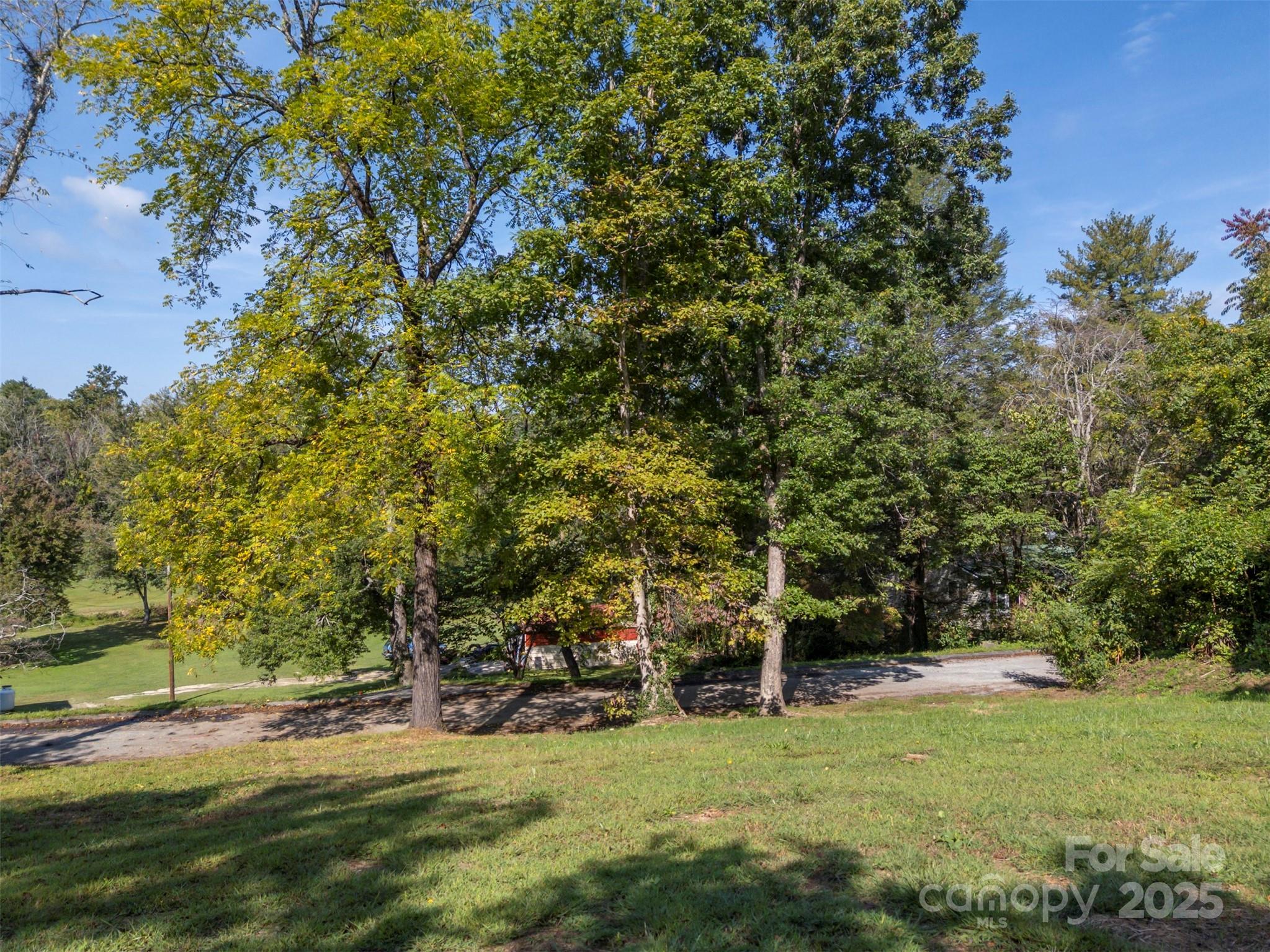 213 Calhoun Street Hendersonville, NC 28739 - Photo 29 of 32 a view of a trees in a yard