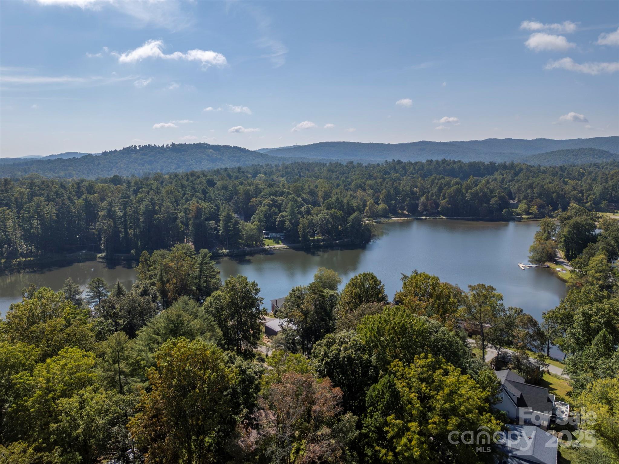 213 Calhoun Street Hendersonville, NC 28739 - Photo 31 of 32 a view of lake with mountain