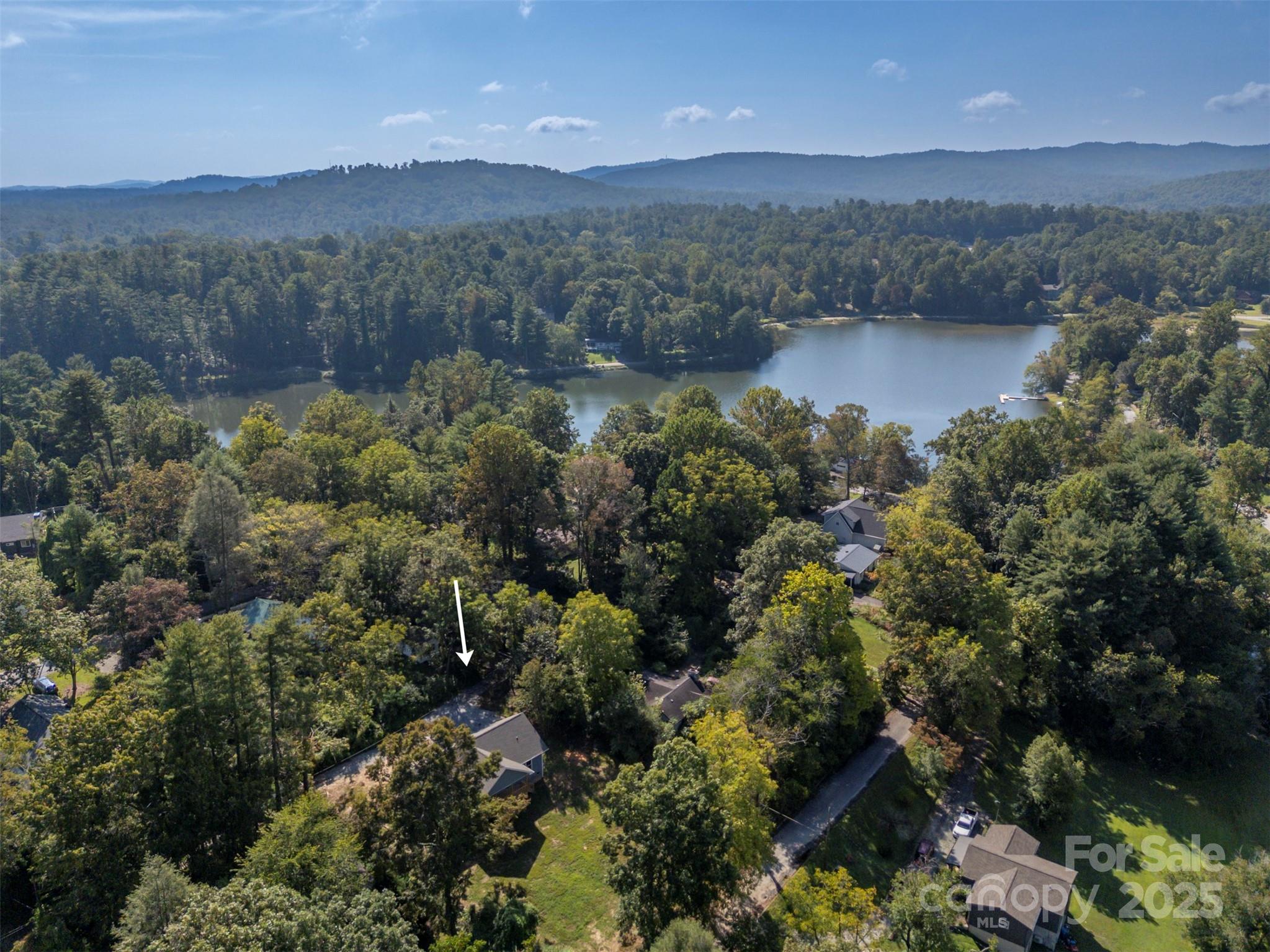 213 Calhoun Street Hendersonville, NC 28739 - Photo 32 of 32 a view of lake with mountain
