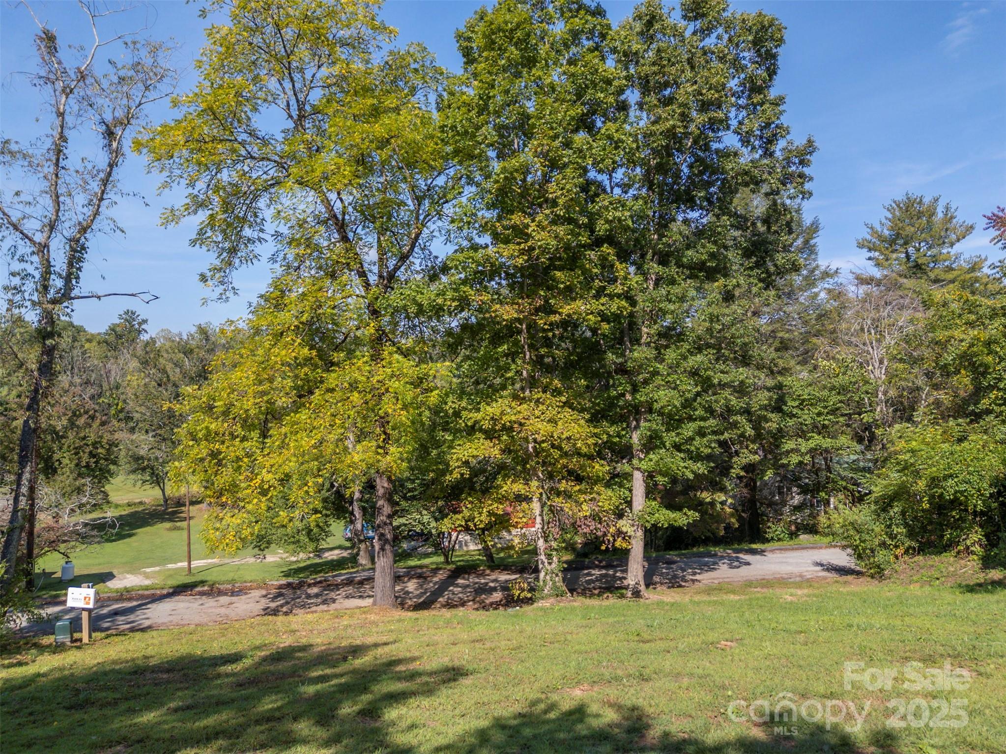 213 Calhoun Street Hendersonville, NC 28739 - Photo 5 of 32 a view of a park with large trees