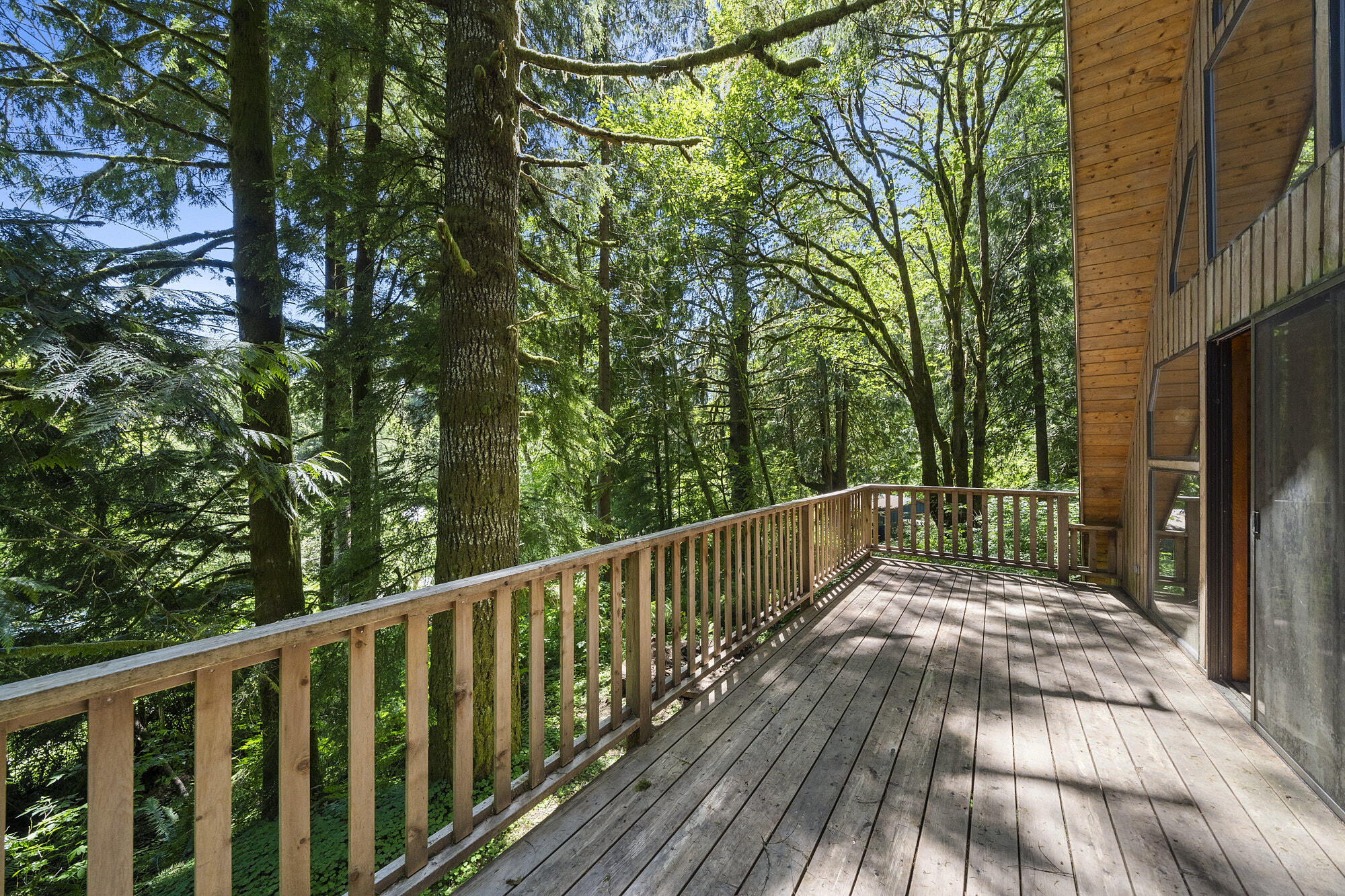 16710 West Point Drive Nehalem, OR 97131 - Photo 13 of 19 DSC05462