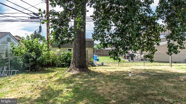 a view of a yard with a tree