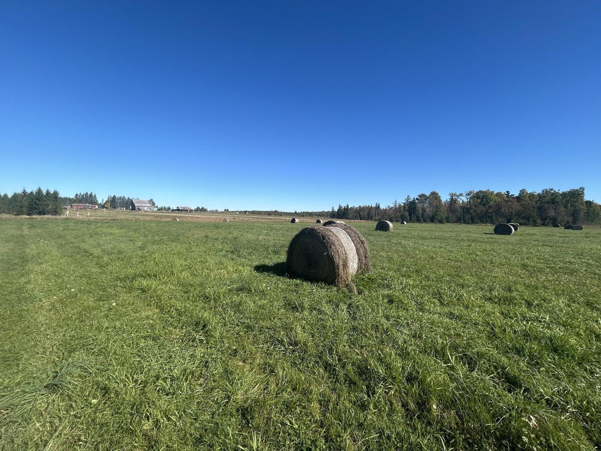 9964 East M 48 Goetzville, MI 49736 - Photo 70 of 91 IMG_5722