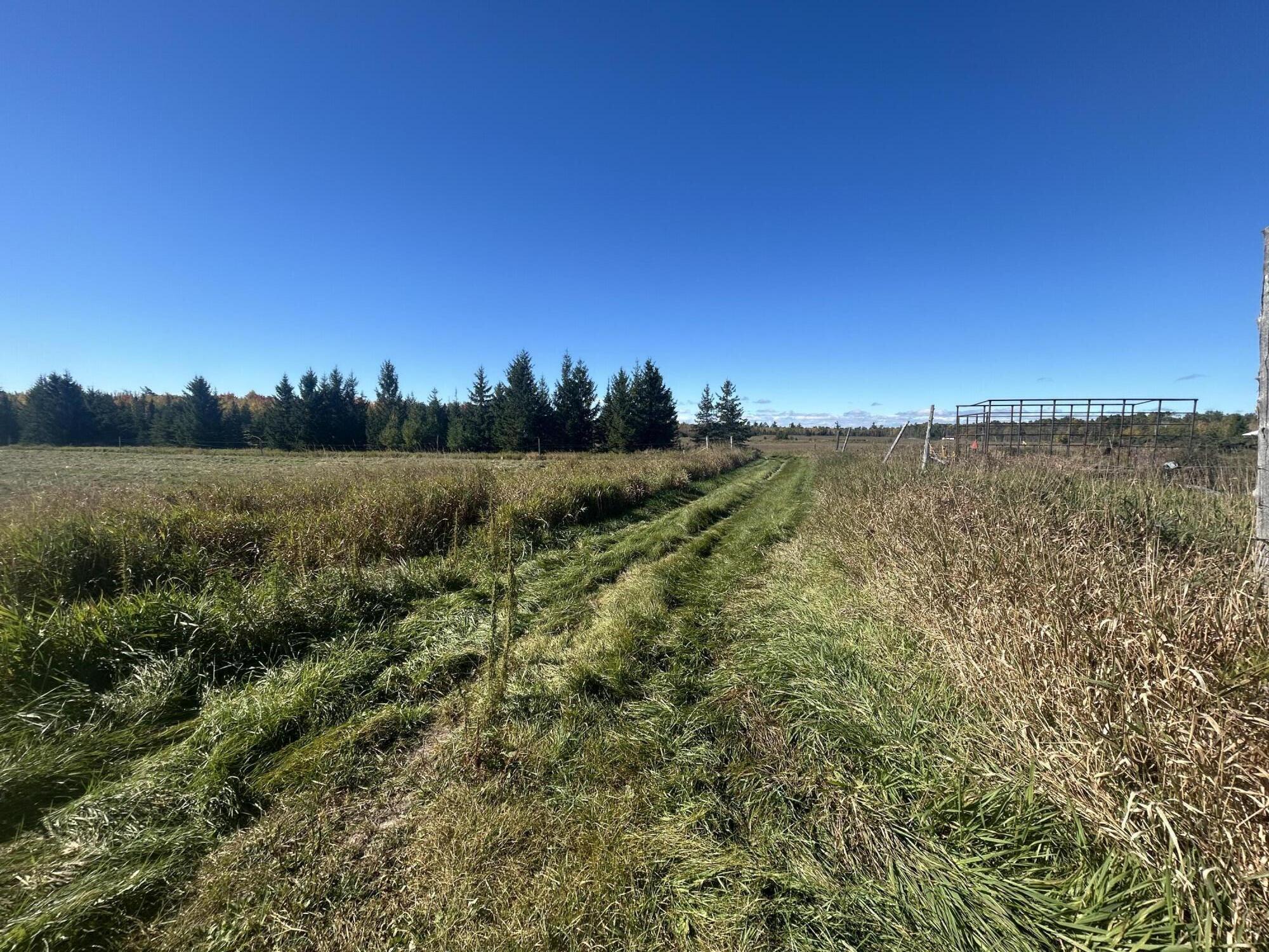 9964 East M 48 Goetzville, MI 49736 - Photo 71 of 91 IMG_5720