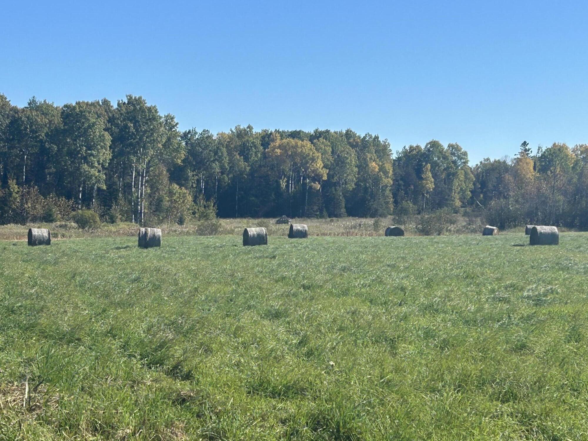 9964 East M 48 Goetzville, MI 49736 - Photo 72 of 91 IMG_5726