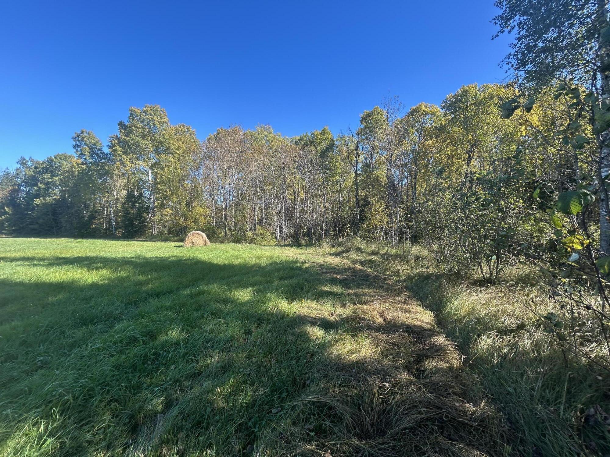 9964 East M 48 Goetzville, MI 49736 - Photo 73 of 91 IMG_5733