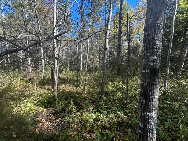 $1,200,000 | 9964 East M 48, Goetzville, MI 49736