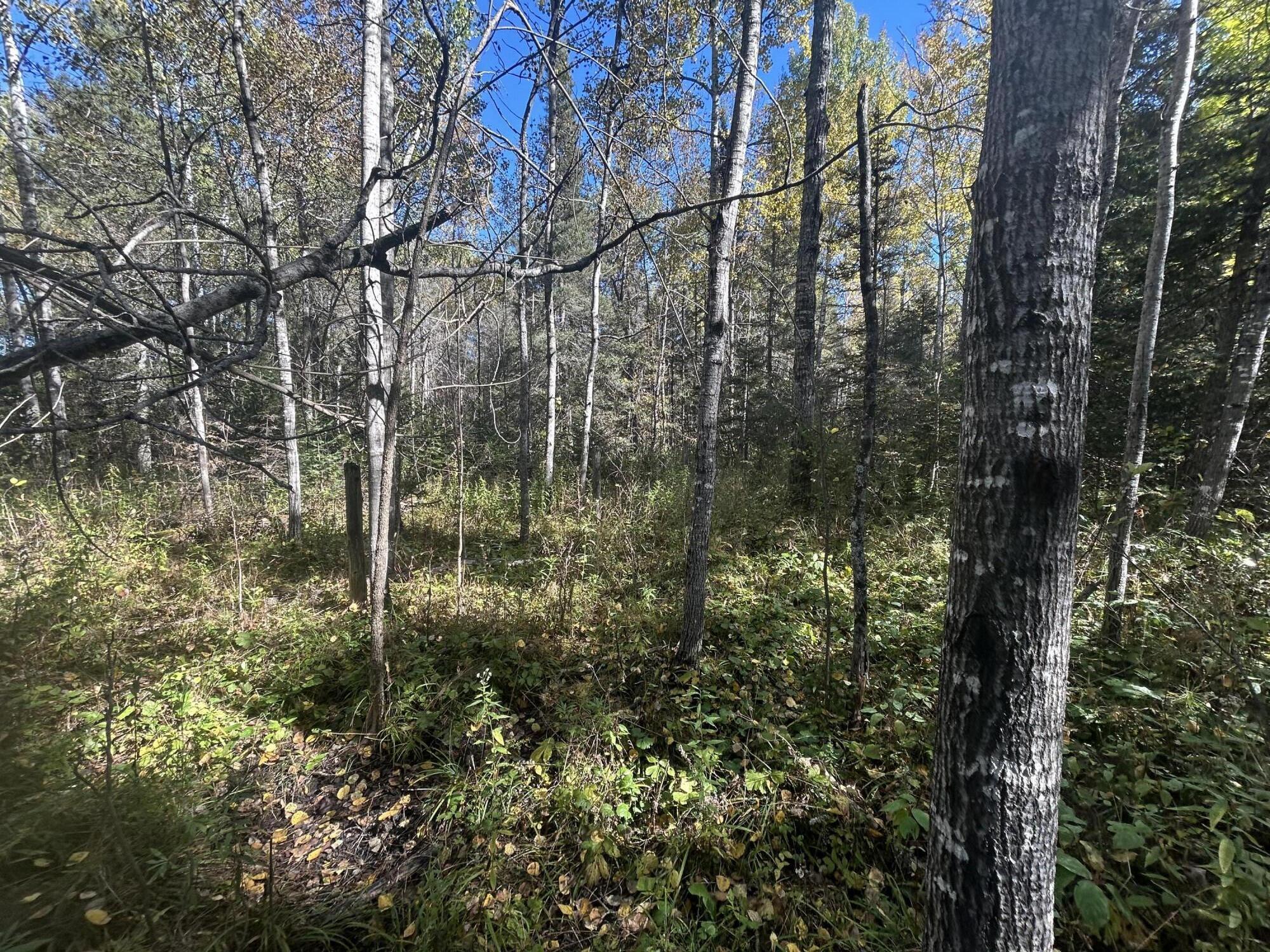 9964 East M 48 Goetzville, MI 49736 - Photo 74 of 91 IMG_5736