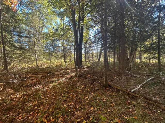 $1,200,000 | 9964 East M 48, Goetzville, MI 49736