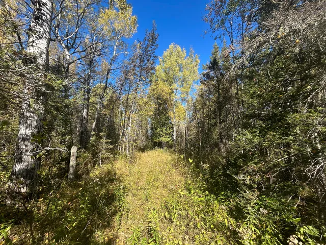 $1,200,000 | 9964 East M 48, Goetzville, MI 49736