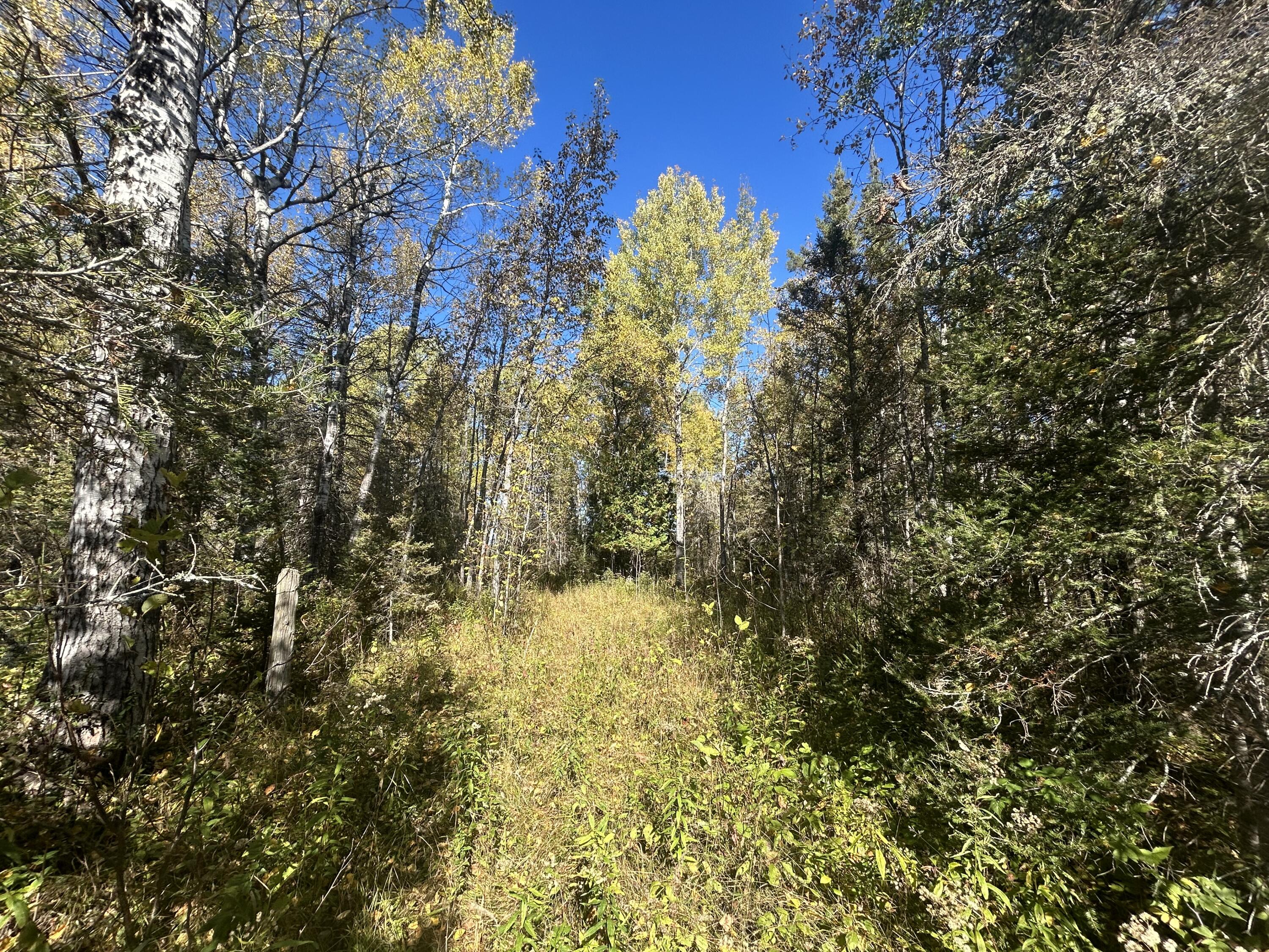 9964 East M 48 Goetzville, MI 49736 - Photo 77 of 91 IMG_5766