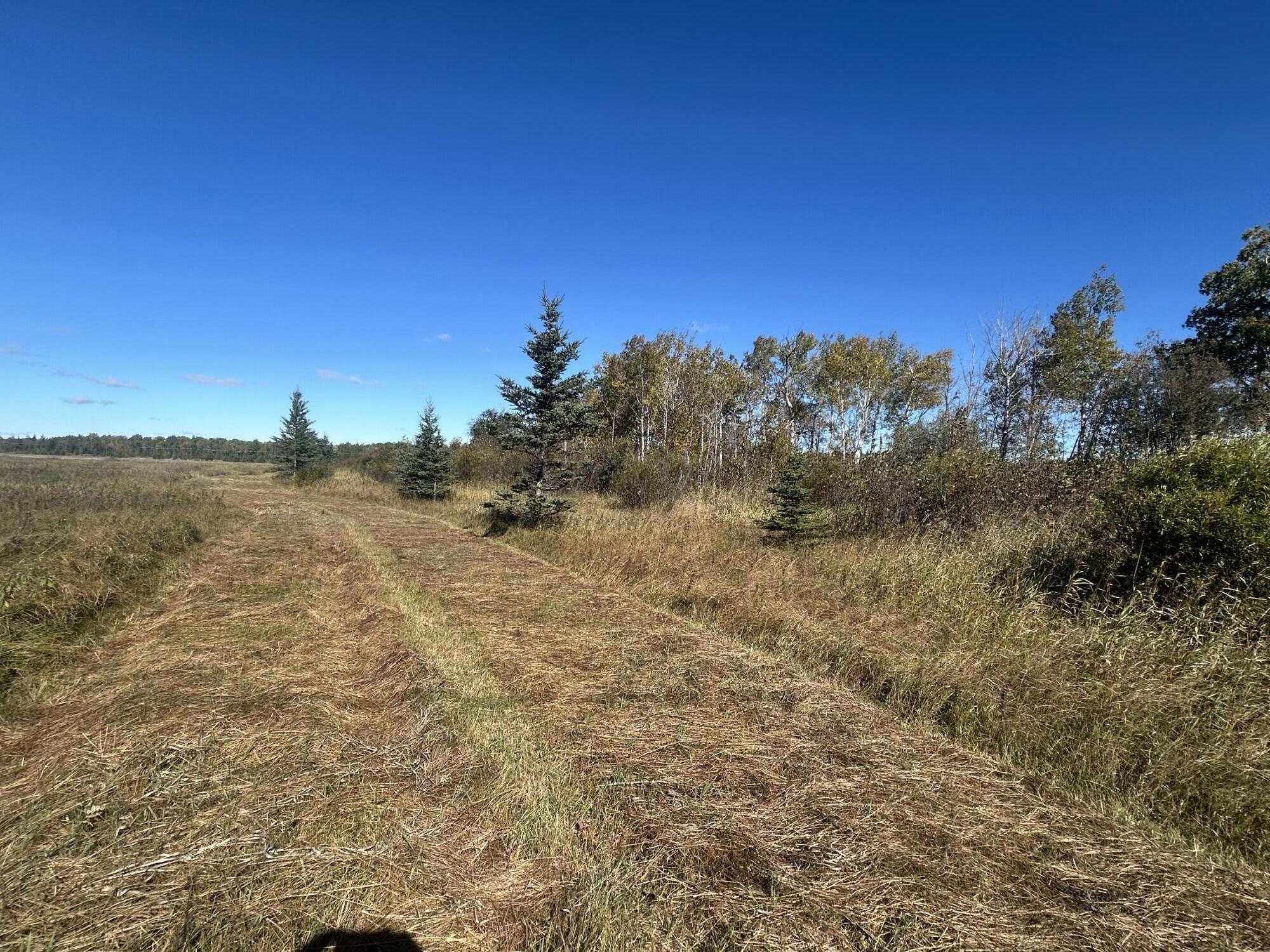 9964 East M 48 Goetzville, MI 49736 - Photo 78 of 91 IMG_5770