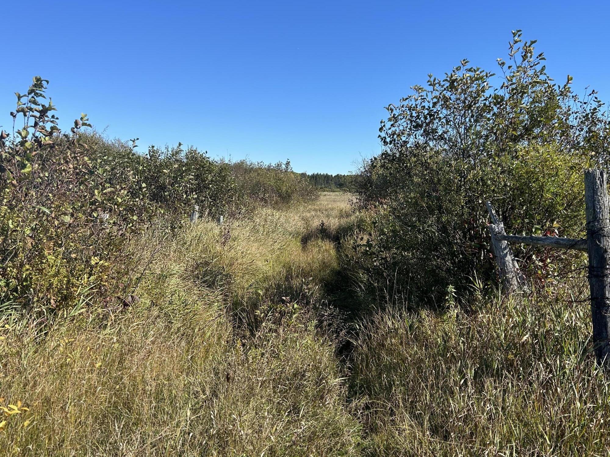 9964 East M 48 Goetzville, MI 49736 - Photo 79 of 91 IMG_5774