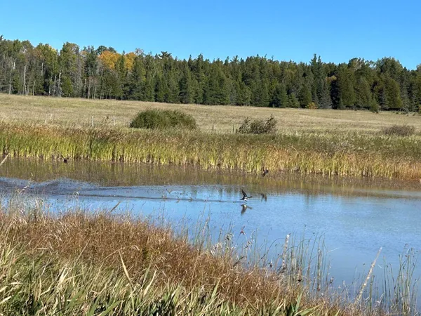 $1,200,000 | 9964 East M 48, Goetzville, MI 49736