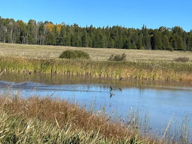 $1,200,000 | 9964 East M 48, Goetzville, MI 49736