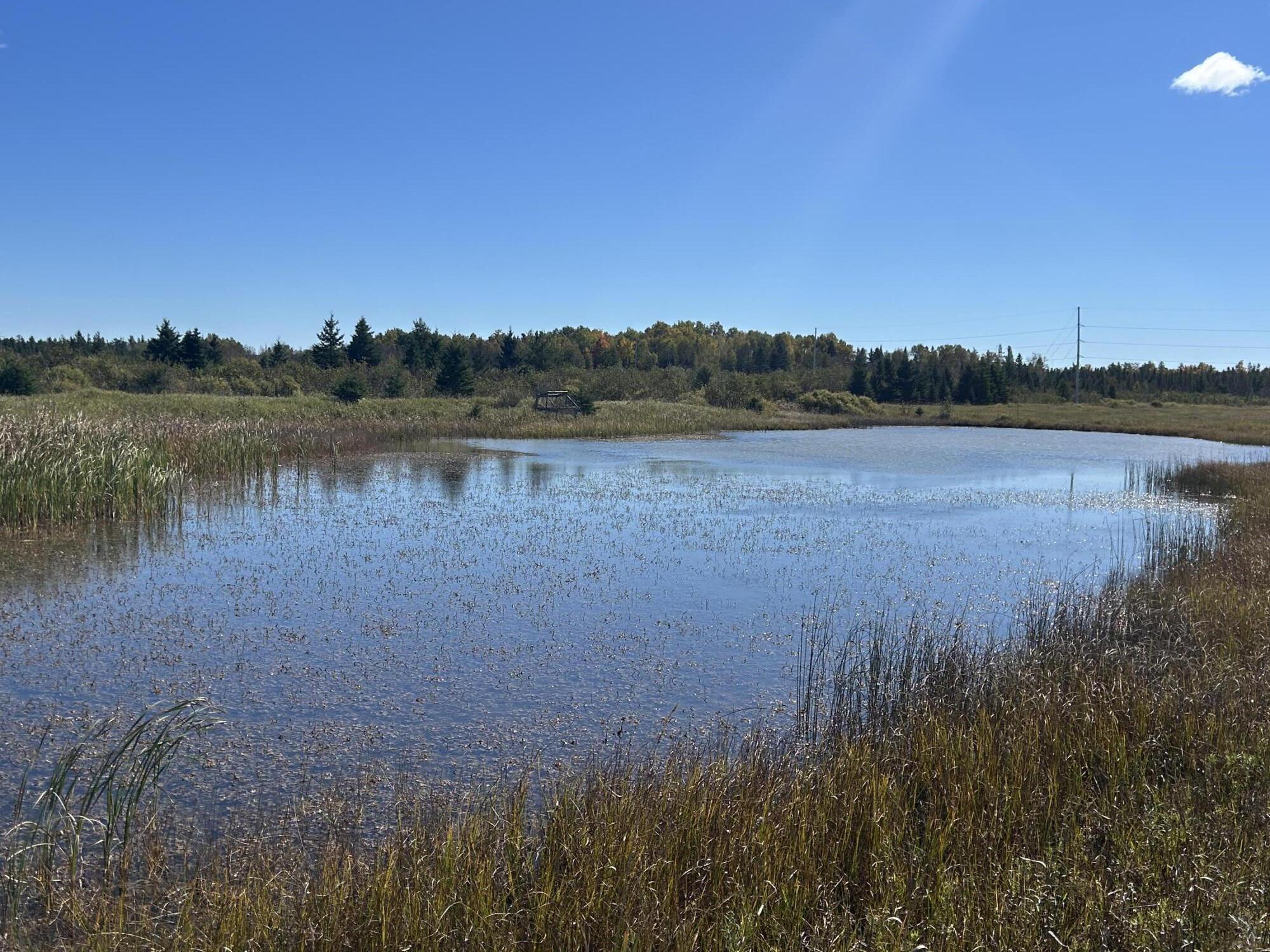 9964 East M 48 Goetzville, MI 49736 - Photo 81 of 91 IMG_5781