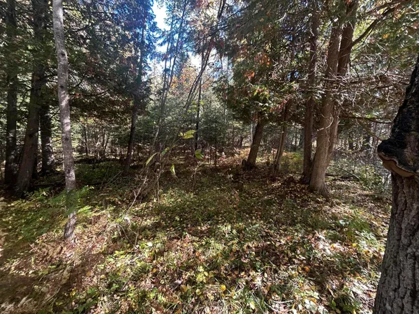 $1,200,000 | 9964 East M 48, Goetzville, MI 49736