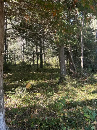 $1,200,000 | 9964 East M 48, Goetzville, MI 49736