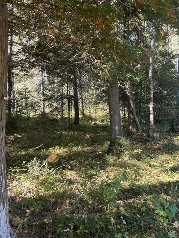 $1,200,000 | 9964 East M 48, Goetzville, MI 49736