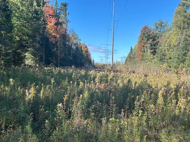 $1,200,000 | 9964 East M 48, Goetzville, MI 49736