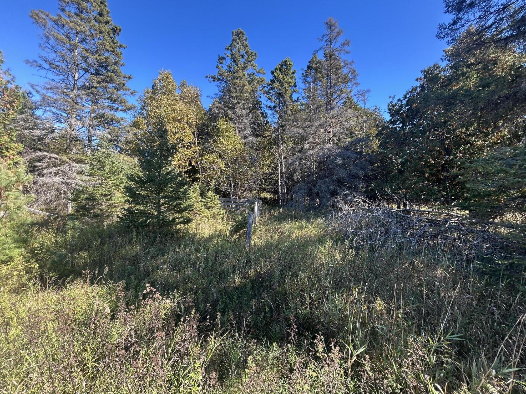 9964 East M 48 Goetzville, MI 49736 - Photo 88 of 91 IMG_5793