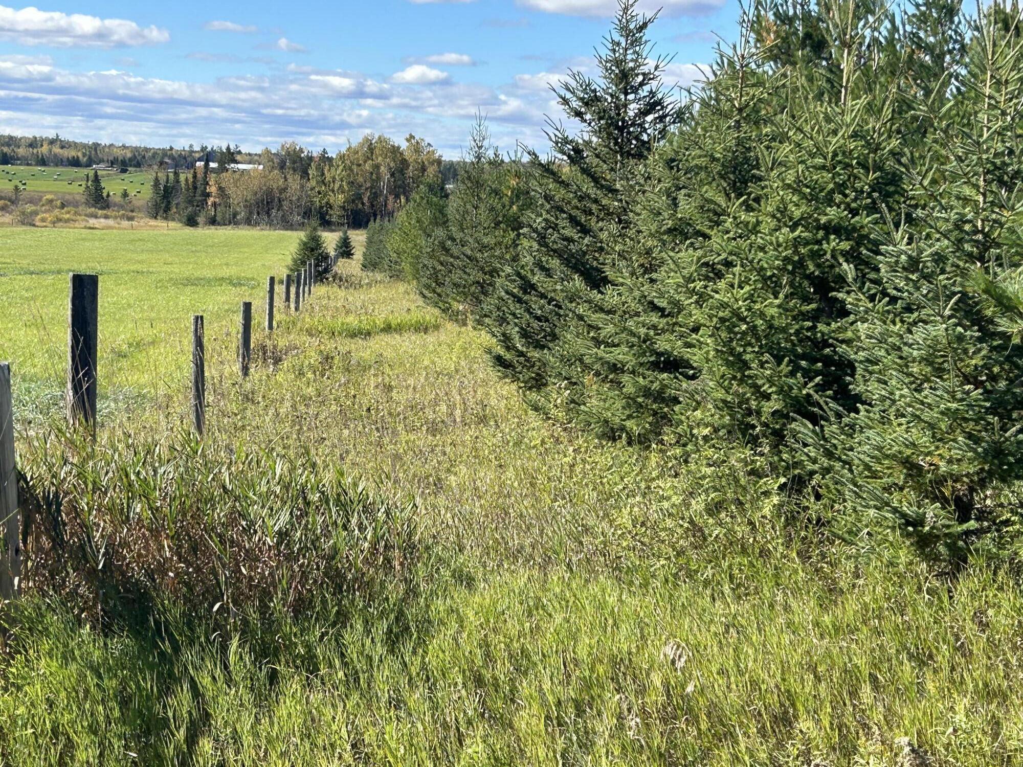 9964 East M 48 Goetzville, MI 49736 - Photo 91 of 91 IMG_5796