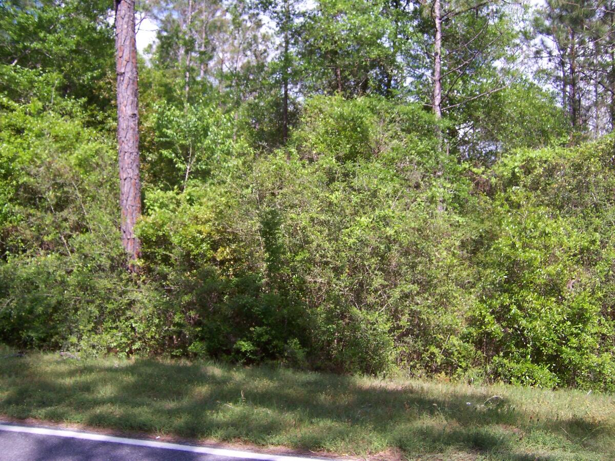 5-ac Hinote Road Crestview, FL 32539 - Photo 1 of 3 a view of a yard