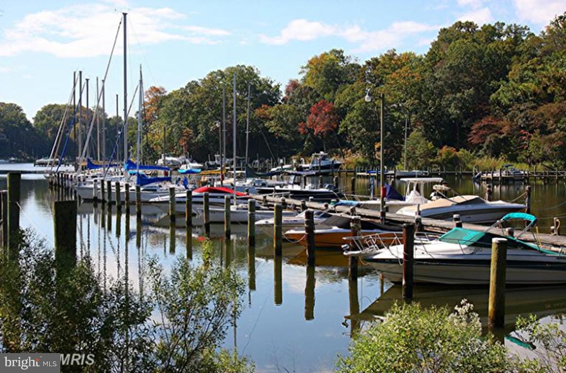 110 Cedar Road Severna Park, MD 21146 - Photo 34 of 35 Community marina