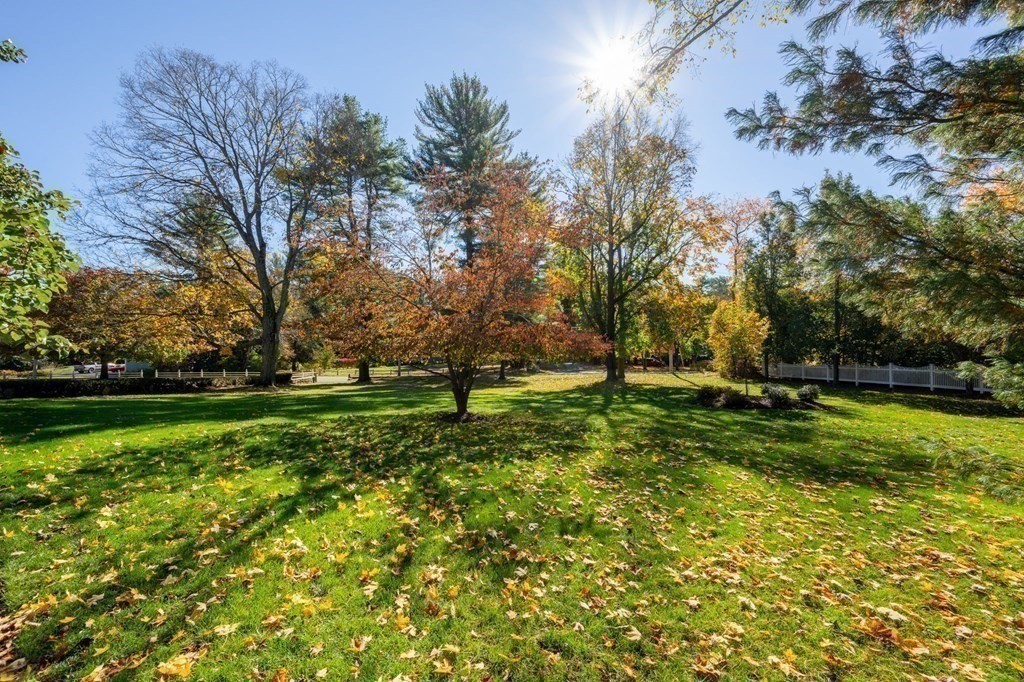 607 Broadway Hanover, MA 02339 - Photo 39 of 41 a view of a tree in a yard