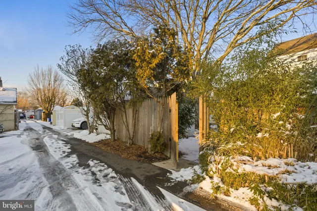 a tree in front of a house with a yard