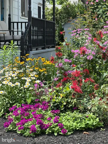 a view of a flower in a yard