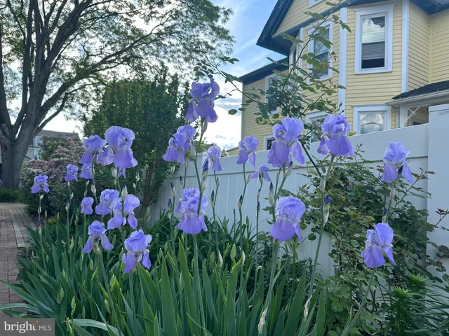a view of a pathway with flowers in front of a house