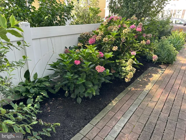 a view of a flower in a garden