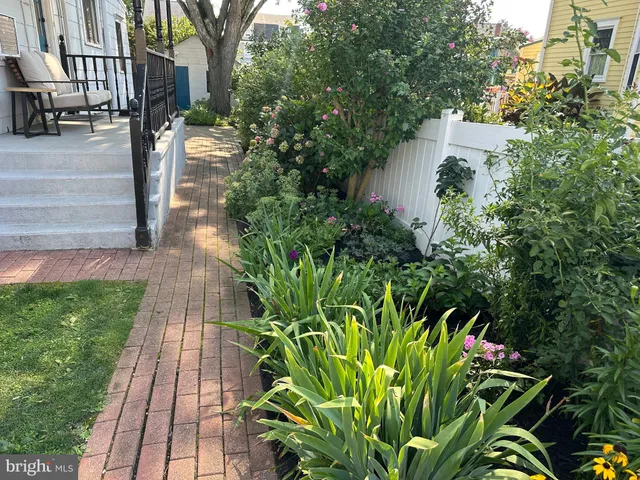 a view of a flower in a garden